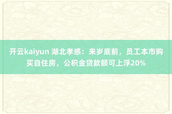 开云kaiyun 湖北孝感：来岁底前，员工本市购买自住房，公积金贷款额可上浮20%