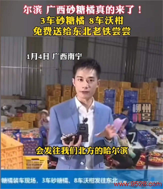 黑龙江有蔓越莓腹地东谈主王人不知谈？差点笑抽在批驳区