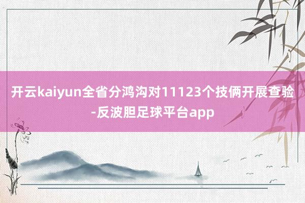 开云kaiyun全省分鸿沟对11123个技俩开展查验-反波胆足球平台app