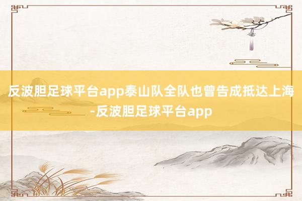 反波胆足球平台app泰山队全队也曾告成抵达上海-反波胆足球平台app