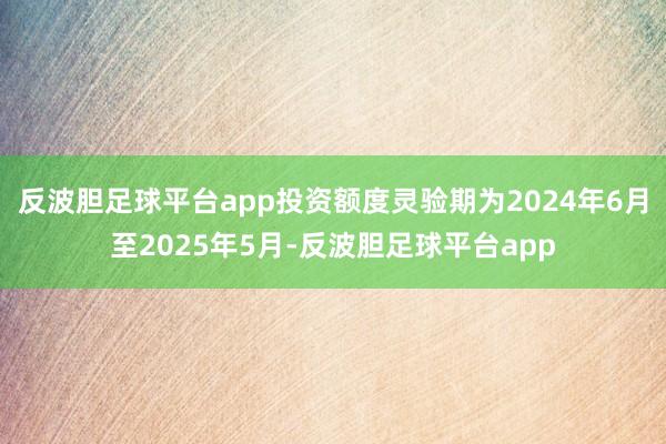 反波胆足球平台app投资额度灵验期为2024年6月至2025年5月-反波胆足球平台app