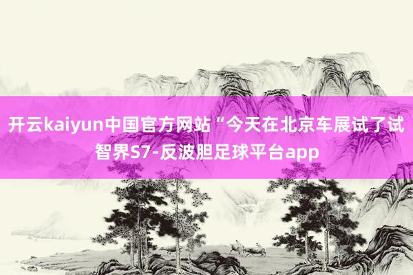 开云kaiyun中国官方网站“今天在北京车展试了试智界S7-反波胆足球平台app