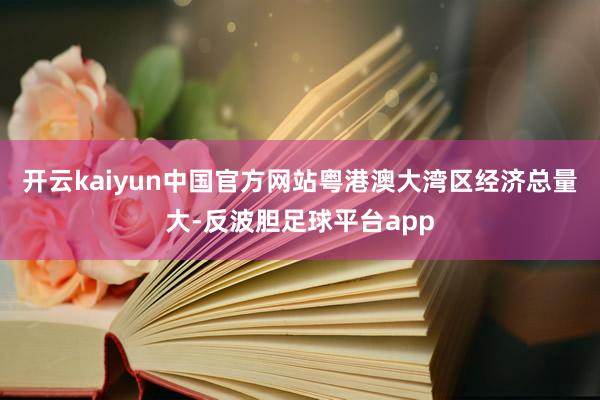 开云kaiyun中国官方网站粤港澳大湾区经济总量大-反波胆足球平台app