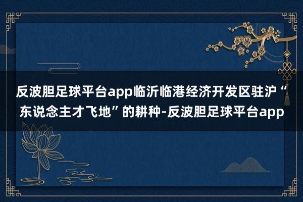 反波胆足球平台app　　临沂临港经济开发区驻沪“东说念主才飞地”的耕种-反波胆足球平台app