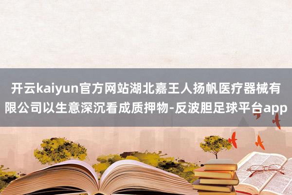 开云kaiyun官方网站湖北嘉王人扬帆医疗器械有限公司以生意深沉看成质押物-反波胆足球平台app