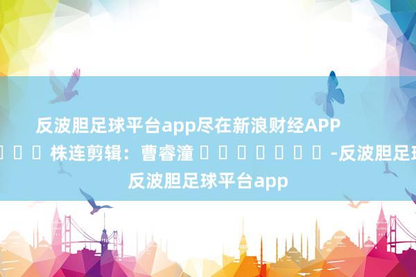 反波胆足球平台app尽在新浪财经APP            						株连剪辑：曹睿潼 							-反波胆足球平台app