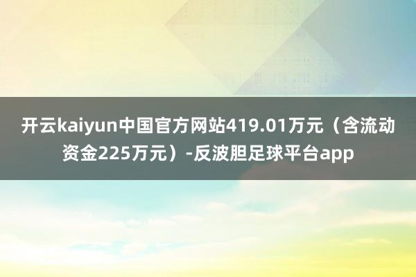 开云kaiyun中国官方网站419.01万元（含流动资金225万元）-反波胆足球平台app