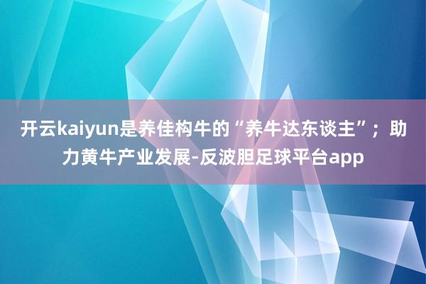 开云kaiyun是养佳构牛的“养牛达东谈主”；助力黄牛产业发展-反波胆足球平台app