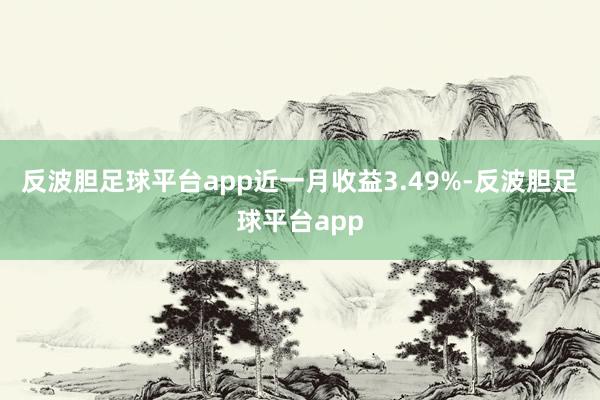 反波胆足球平台app近一月收益3.49%-反波胆足球平台app