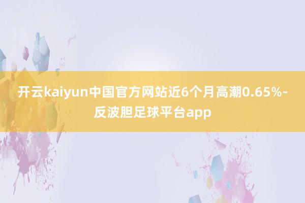 开云kaiyun中国官方网站近6个月高潮0.65%-反波胆足球平台app