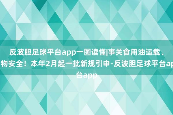 反波胆足球平台app一图读懂|事关食用油运载、食物安全！本年2月起一批新规引申-反波胆足球平台app